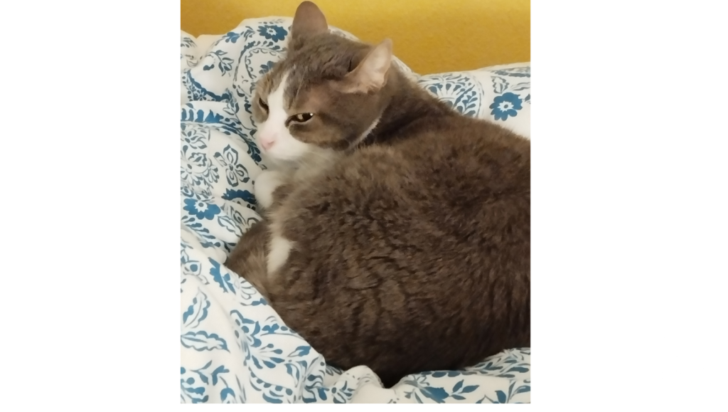 quand tu es fatiguée dès le réveil