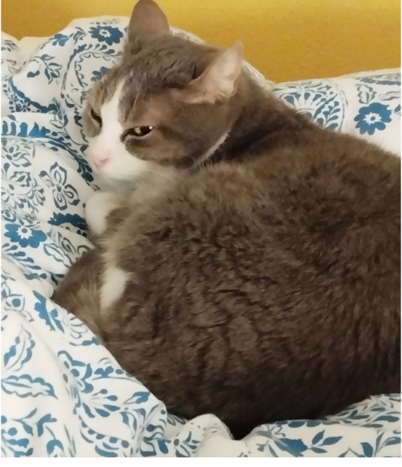 quand tu es fatiguée dès le réveil